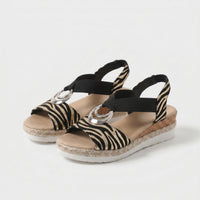 Zebra Classico